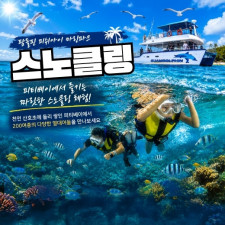 괌돌핀 스노클링