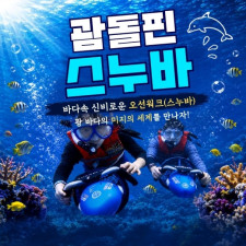 괌돌핀 스누바