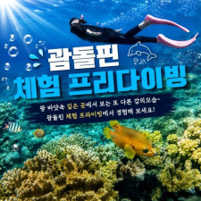 괌돌핀 프리다이브